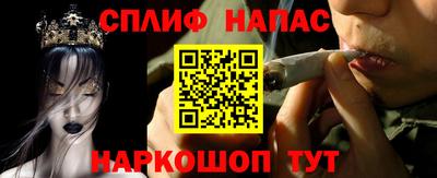 гидропоника Гусь-Хрустальный