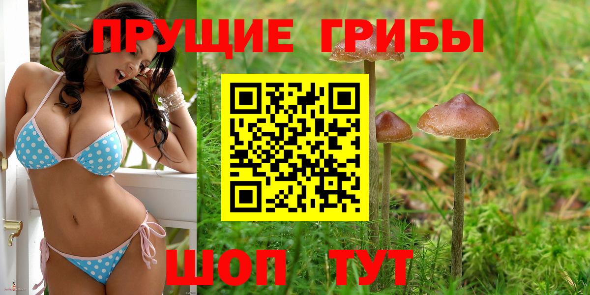 Псилоцибиновые грибы Psilocybe Ишимбай