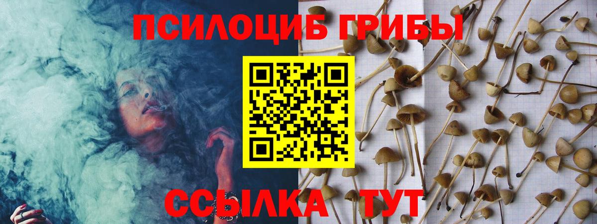 Псилоцибиновые грибы MAGIC MUSHROOMS  Вход с VPN  Ишимбай 